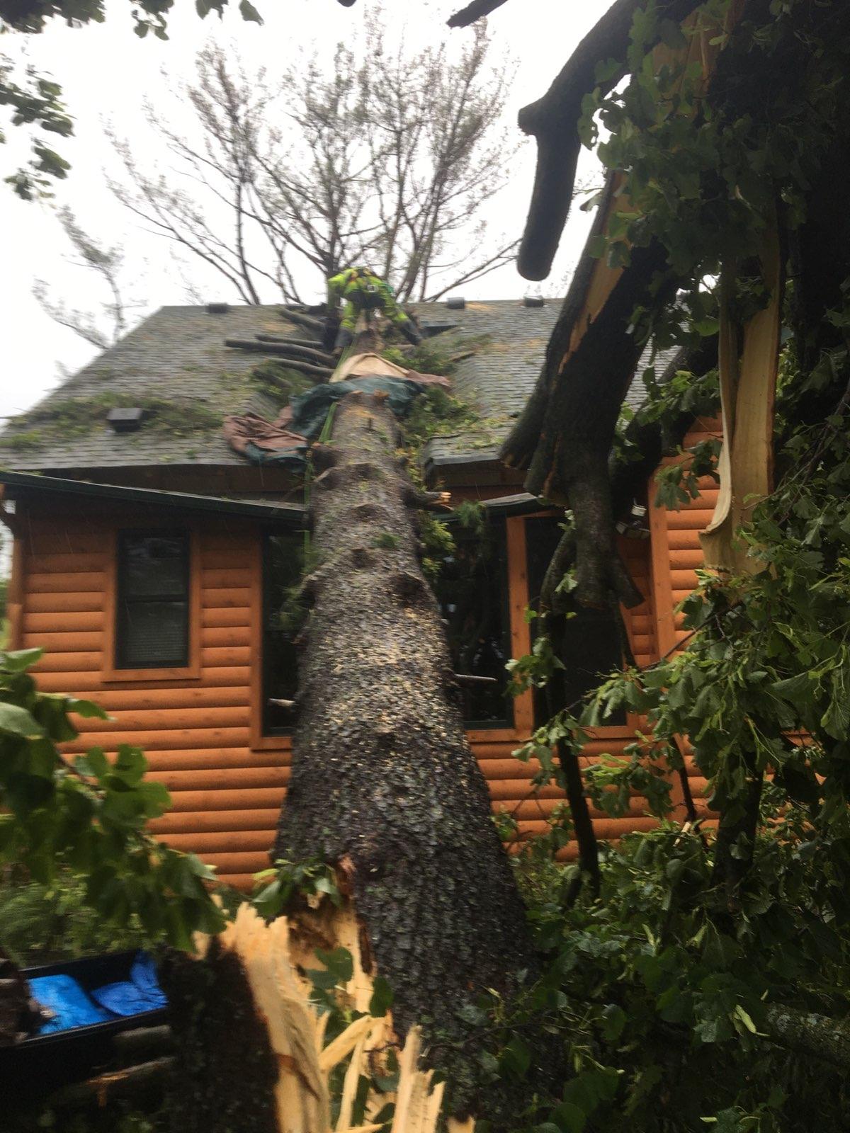 Storm Damage - Tree fell on house