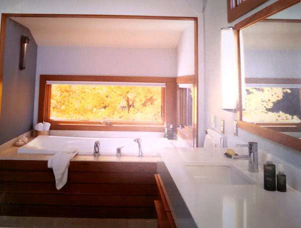 Soaking tub is faced with mahogany planking and flanked by sleek horizontal windows at eye level for an intimate view of the woods